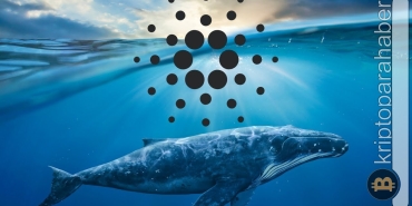 Balinalar düşüşte bu altcoin'i biriktiriyor! Daha fazla kayıptan kurtulabilir mi?