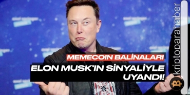 Flaş: Elon Musk'ın açıklamalarıyla memecoin balinaları uyandı! Milyonlarca dolarlık Dogecoin neden transfer edildi?
