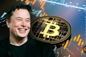 Elon Musk Bitcoin'ini satmayacak! Hangi varlıkların tutulması gerektiğini açıkladı!