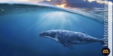 Balina Bitcoin adresleri 1 ayda yüzde 8,3 arttı! İşte ayrıntılar