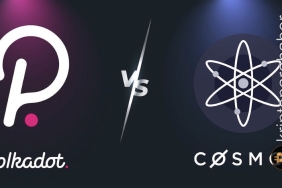 Polkadot mu, Cosmos mu? Hangisi daha iyi? Detaylı kıyaslama