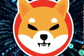 Shiba sahipleri dikkat: Fiyat bu seviyeye gidiyor! Gözünüzü dört açın