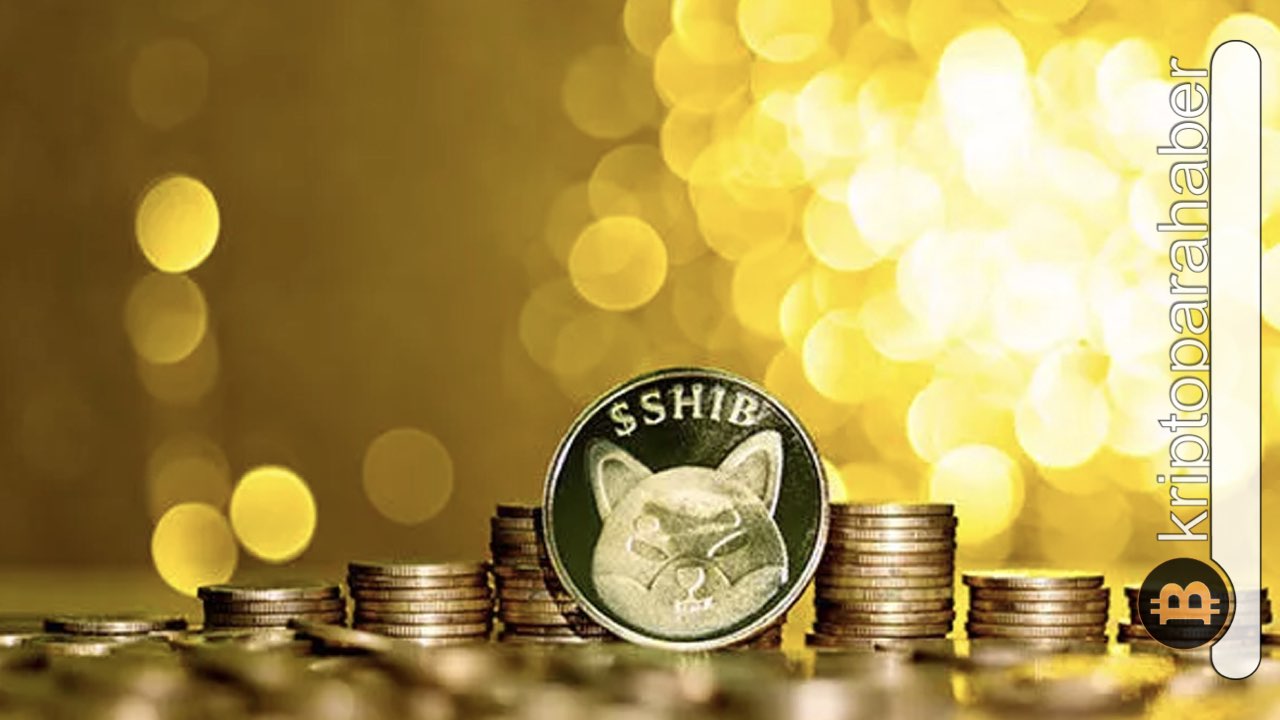 Shiba Inu 2022'nin sonuna kadar 50 milyar dolar değere ulaşacak mı?