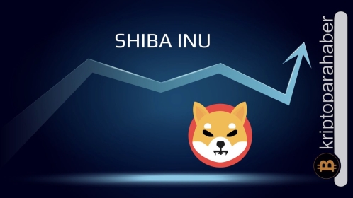 Shiba Inu’da beklenmedik dalgalanma! Bu seviyelere gidiyoruz: Fiyat analizi