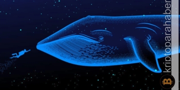 En iyi balina adresleri bu altcoin'e yöneliyor!