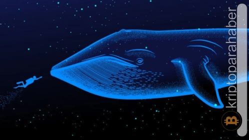En iyi balina adresleri bu altcoin’e yöneliyor!