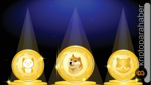 Bu meme coin’deki ani fiyat artışının nedeni belli oldu! Önümüzdeki günlerde yeni zirveler gelebilir