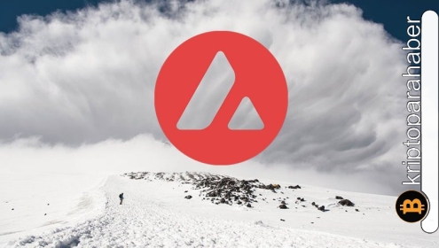 Bu altcoin, piyasadaki mevcut hissiyata rağmen olumlu sinyaller veriyor!