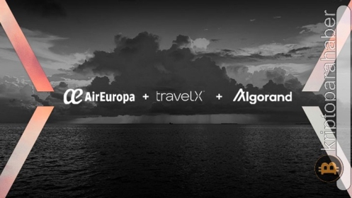 Air Europa, dünyanın ilk NFT uçuşunu başlatacak! İşte tüm detaylar