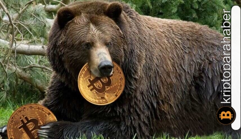 Kripto analisti uyardı: Bitcoin tüm zamanların en düşük seviyelerine gerileyebilir!
