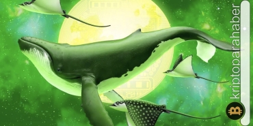 Balinalar bu altcoin’leri çılgınlar gibi almaya başladı: Shiba Inu’da alarm var!