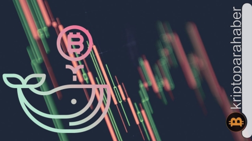 Balinalar dip alımı gerçekleştirdi: Bitcoin fiyatı daha neyi bekliyor?