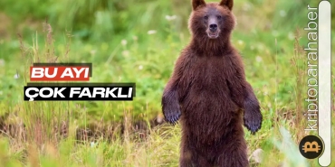 Bitcoin’in şu anki ayı piyasası öncekilerden neden farklı? Şimdi ne olacak?