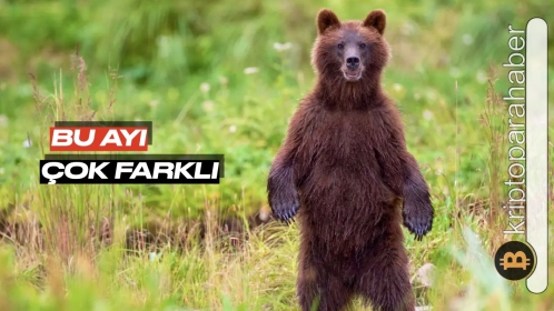 Bitcoin’in şu anki ayı piyasası öncekilerden neden farklı? Şimdi ne olacak?