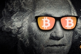 Bitcoin Hodl yapanların bakın yüzde kaçı kârlı?