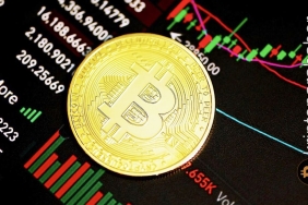 Bitcoin işlem ücretleri tarihin en düşük seviyesine indi