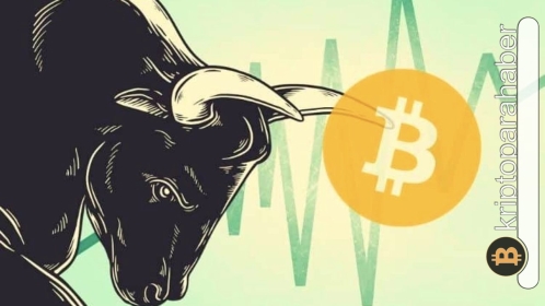 Güçlü altcoin’den %50 yükseliş sinyali geldi! “Boğa çekici” modeli görüldü