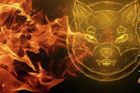 Shiba burn işlemleri haftalık yüzde 100’ü aştı: Fiyatta olumlu gelişme var mı?