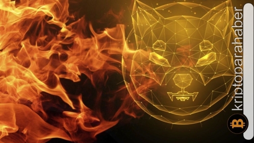 Shiba burn işlemleri haftalık yüzde 100’ü aştı: Fiyatta olumlu gelişme var mı?