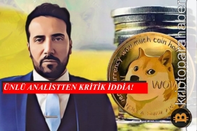 David Gokhshtein Shiba Inu