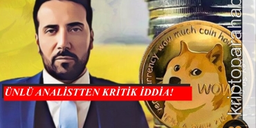 David Gokhshtein Shiba Inu