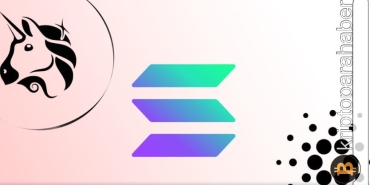 Solana ve bazı altcoin'ler aktif olarak geliştirilen projeler arasında ilk 3'e girdi! Ne anlama geliyor?