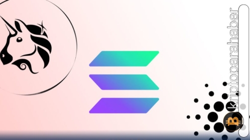 Solana ve bazı altcoin’ler aktif olarak geliştirilen projeler arasında ilk 3’e girdi! Ne anlama geliyor?