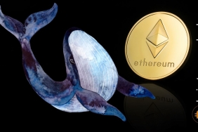 Ethereum balinası, Shibarium lansmanından önce varlık topladı