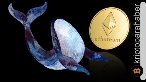 Ethereum balinası, Shibarium lansmanından önce varlık topladı