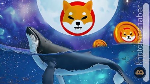 ETH balinasından meme coin alarmı: Tek transferde dikkat çeken bir alım gerçekleşti!