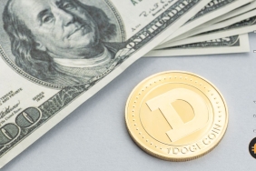 Dogecoin kurucu ortağı, yeni çıkış yapan Dogechain için o teklifi reddetti