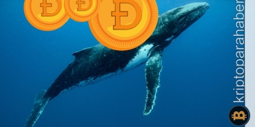 Kripto balinası, 2 milyarlık DOGE’yi hareket ettirdi: Dump gelecek mi?