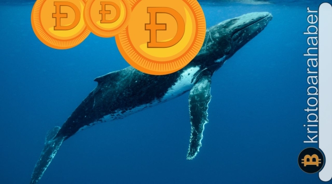 Kripto balinası, 2 milyarlık DOGE’yi hareket ettirdi: Dump gelecek mi?