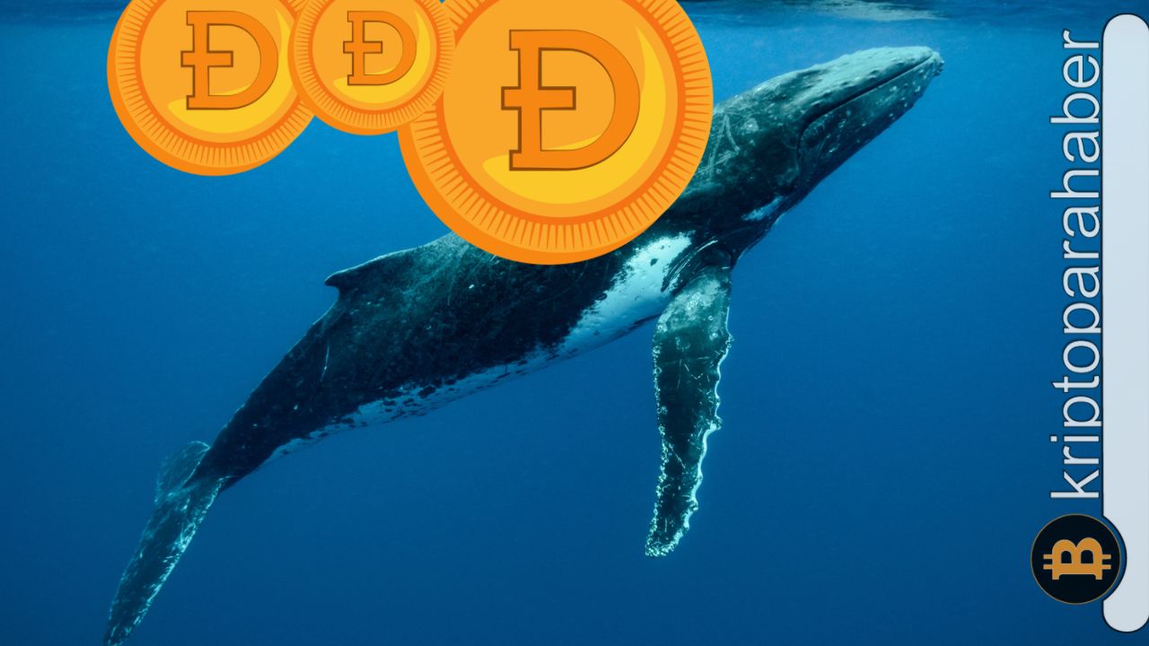 Kripto balinası, 2 milyarlık DOGE’yi hareket ettirdi: Dump gelecek mi?