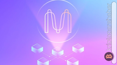 Yüksek potansiyel taşıyor! Bu altcoin hakkkında bilmeniz gereken her şey