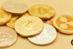 Bitcoin neden yükseliyor? Piyasa yükselişinin arkasındaki gerçek nedir?