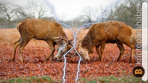 Rekabet kızıştı: Bu stablecoin piyasanın yeni hakimi mi olacak?