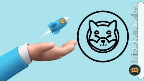Robinhood Shiba haberi varlığı uçurdu: Son bir saat içinde piyasa değeri bakın ne kadar arttı?