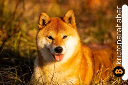 Teknik göstergeler olumlu, Shiba Inu sağlam bir çıkış sinyali veriyor!