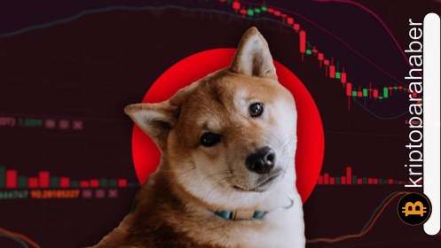 Shiba Inu yeni haftaya tökezleyerek başladı! Boğalar ne zaman devreye girecek?