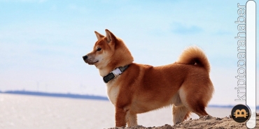 Shiba Inu 100x yapabilir mi?