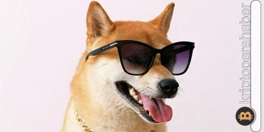 Shiba Inu: Meme coin madenciliği nasıl yapılır?