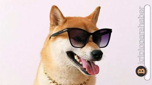 Shiba Inu: Meme coin madenciliği nasıl yapılır?