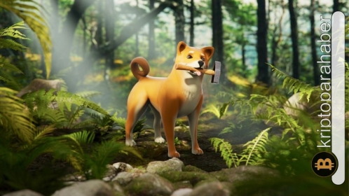 Dakika 1 gol 1: Shiba Inu, Metaverse kullanıcısını ömür boyu banladı! Sebebi ne?