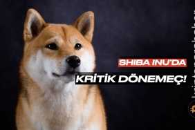 Shiba Inu sahipleri dikkat! Düşüş sürecek mi? Kritik destek can yakabilir