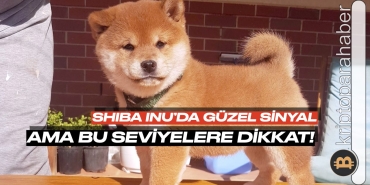 Shiba Inu tahmini: Güzel bir sinyal geldi ama çok dikkat etmeniz gerek! İşte sebebi...