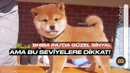 Shiba Inu tahmini: Güzel bir sinyal geldi ama çok dikkat etmeniz gerek! İşte sebebi…