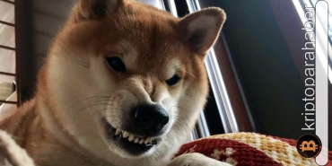 Dikkat: Shiba Inu geliştiricisi çok kritik bir uyarı yayınladı! Kayba uğramamak için mutlaka inceleyin