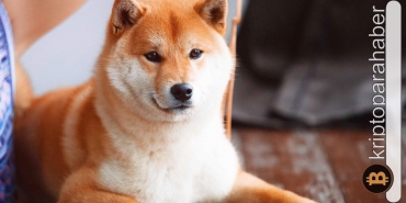 Shiba Inu'da devrimsel hamle! Eski güzel günler geri gelebilir mi?