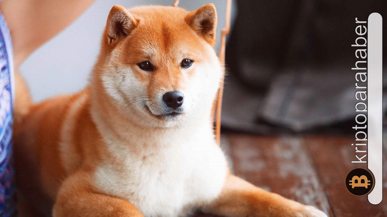 Shiba Inu'da devrimsel hamle! Eski güzel günler geri gelebilir mi?